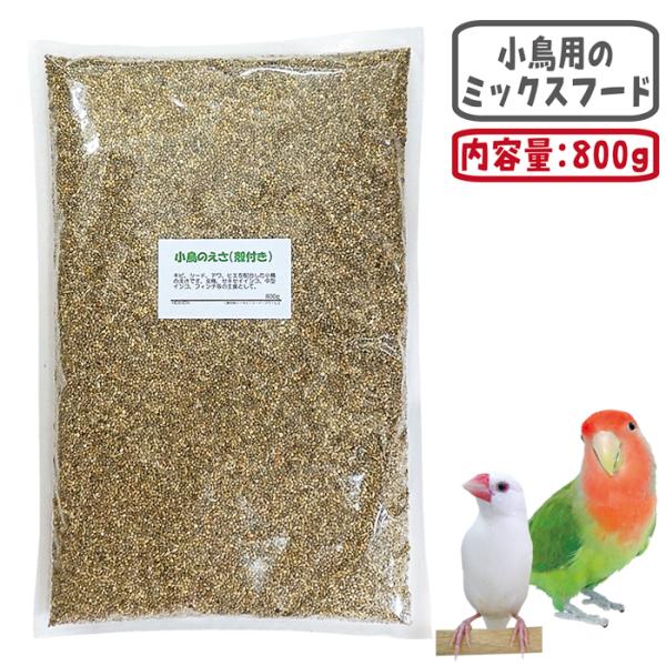 小鳥のえさ(殻付き) 800g/エサ からつき 皮つき 小鳥の主食 セキセイ