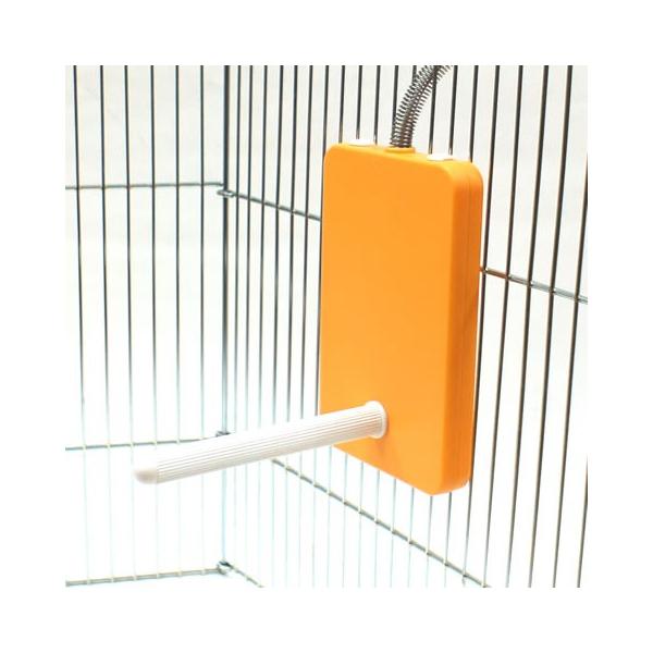 قƂƂg 肻q[^[/ ZLZCCR  IJCR g[ ۉ ~ g Ƃ܂ ΍ }J MARUKAN