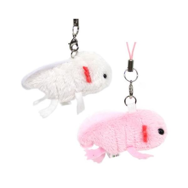 爬虫類 両生類飼育用品 ウーパールーパーの人気商品 通販 価格比較 価格 Com