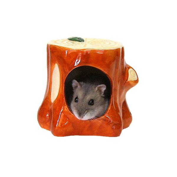 ؊̂ /h[tnX^[ WKA {tXL[ Q nEX  SUDO sbR[m