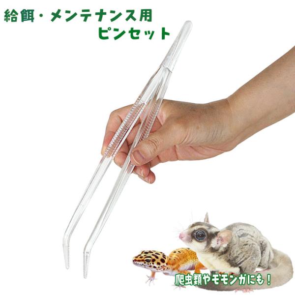 小動物、爬虫類、両生類用メーカー：その他サイズ：全長270mm■原材料　プラスチック