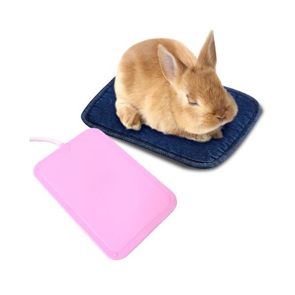 うさぎ ヒーター 小動物用ペットグッズ 鳥 - ペットの人気商品・通販・価格比較 - 価格.com うさぎ ヒーター 小動物用ペットグッズ 鳥 - ペットの人気商品・通販・価格比較 - 価格.com