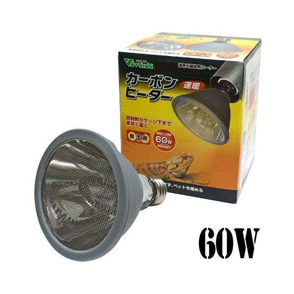 ԊOMq[^[ J[{q[^[60W/঒ ۉ g[ ΍ h roA Vivaria