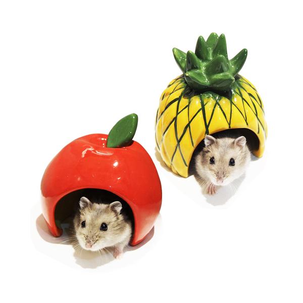 C{[ WKÃJth[/nEX Q B  h[tnX^[ Rainbowy28NZ[z