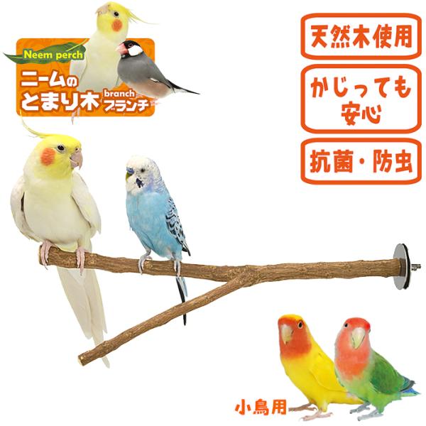 小鳥用メーカー：サンコー（SANKO）サイズ：長さ約300mm(形状不定)■主な材質ニーム（天然木）、ステンレススチール