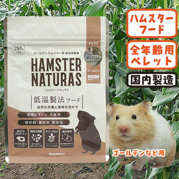 ハムスター heaven-y_5778