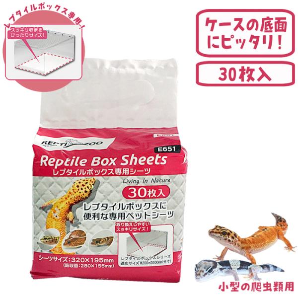 レプタイルボックス専用シーツ/ペットシーツ シート 無香料 爬虫類 レオパ ヒョウモントカゲモドキ サンコー 三晃商会
