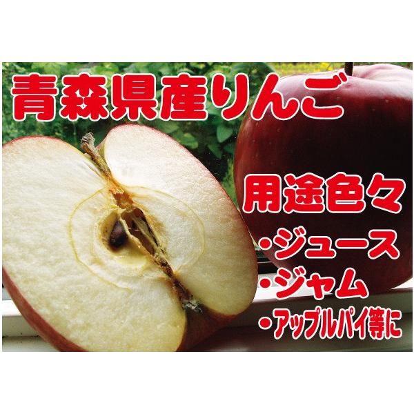 りんご 20kg 箱」の人気商品一覧 | 安い商品を通販サイトから