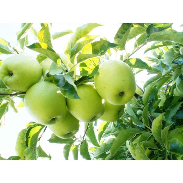 yAiEсE5kgi5Lj_{[lzXY ь