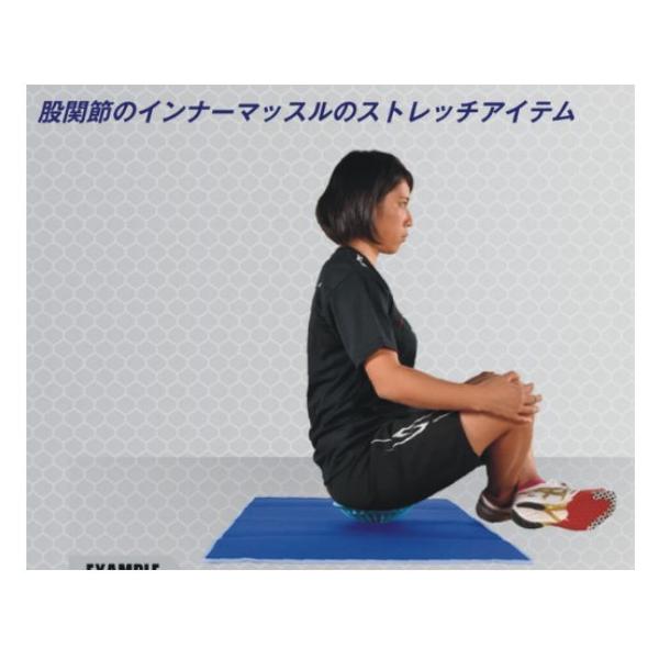 NISHI ニシ ケアディスク NT7990 テレワークに最適 骨盤を正しい位置へ