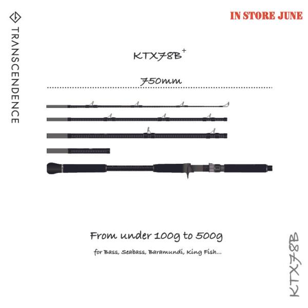 【TRANSCENDENCE/トランスセンデンス】KTX 78B / ケーティーエックス 78B