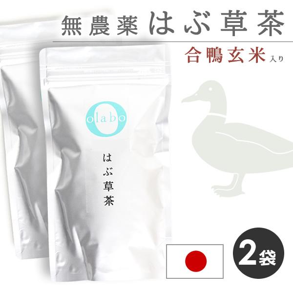 お得 2袋set - 国産 無農薬 はぶ茶 ハブ茶 ハブ草茶 玄米茶 ケツメイシ 無化学肥料 メール便 - はぶ草茶 2袋 - by:Olabo  ※返品交換不可 :habusou-002:ヘッジホッグ おとなカワイイ靴店 - 通販 - Yahoo!ショッピング