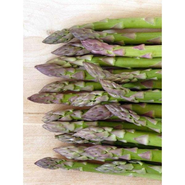 Heirloom Asparagus Jersey Knight エアルーム アスパラガス ジャージー ナイト 4苗 18新品種 Buyee Buyee Japanese Proxy Service Buy From Japan Bot Online