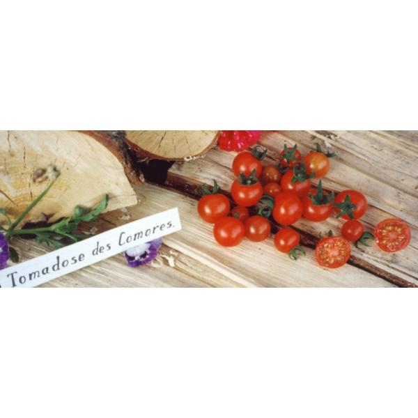 Heirloom Tomato Reg Tomadose Des Comores トマドセ デ コモレス 10 Seeds 原種系 原種トマト Buyee Buyee 提供一站式最全面最专业现地yahoo Japan拍卖代bid代拍代购服务 Bot Online