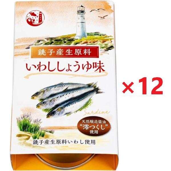 銚子産生原料いわししょうゆ味 100g×12個　信田缶詰