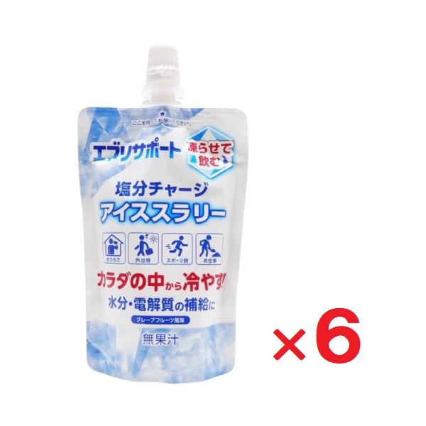 エブリサポート 塩分チャージ アイススラリー 100g ×6個