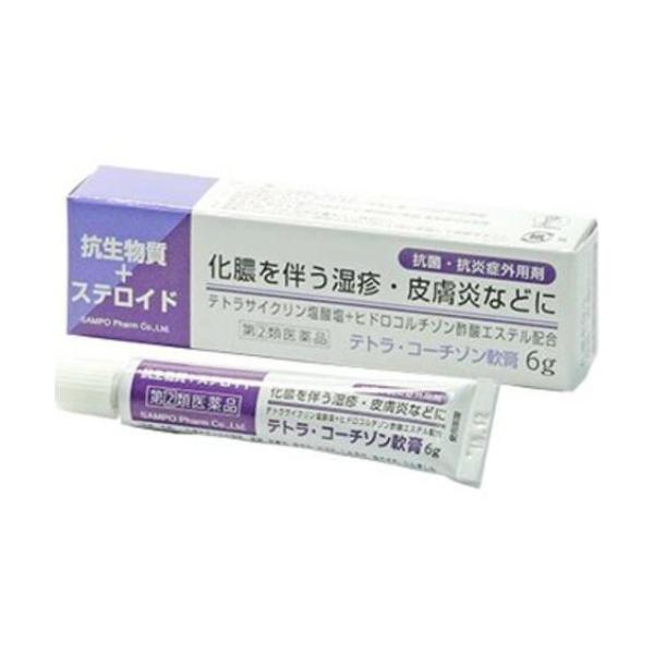 テトラ・コーチゾン軟膏 6g  指定第2類医薬品