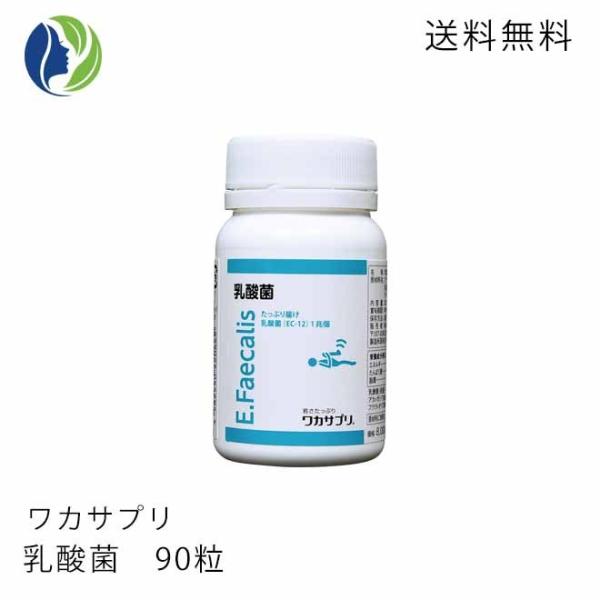 サプリメント ワカサプリ 乳酸菌 90粒 約1ヶ月分　善玉菌 整腸
