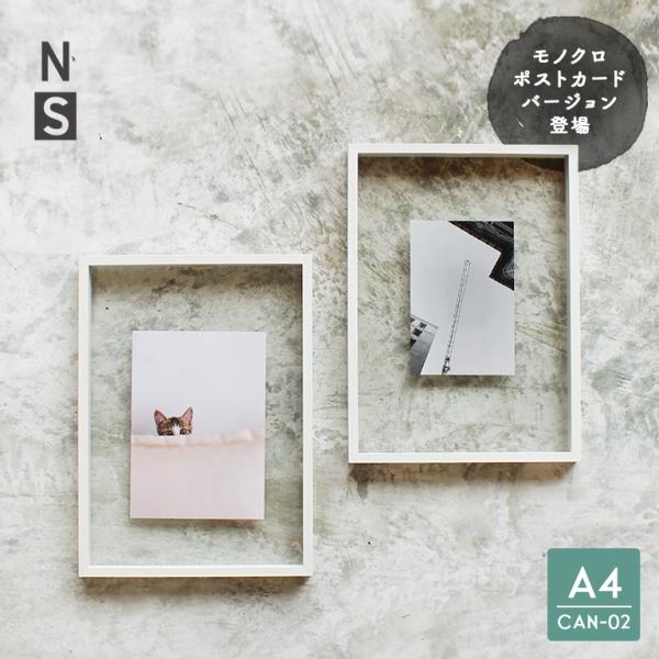 コニカ フォトフレーム コニカミノルタ フォトフレーム 木製 3枚