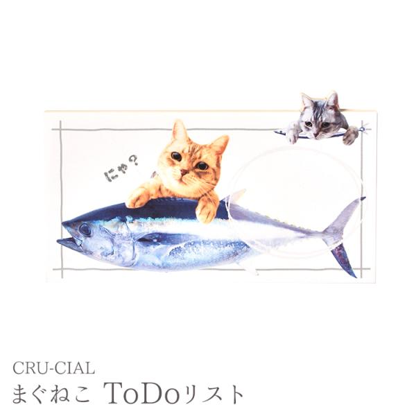  /  Xg L CRU-CIAL  u܂˂ ToDoXgv@@[ 킢  [  莆 L ˂ lR LD v[g Mtg ]