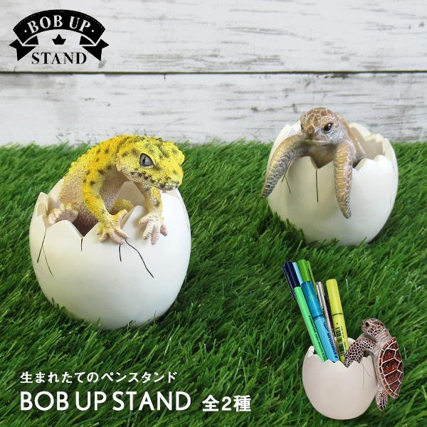 文具 ヒョウモントカゲモドキの人気商品 通販 価格比較 価格 Com