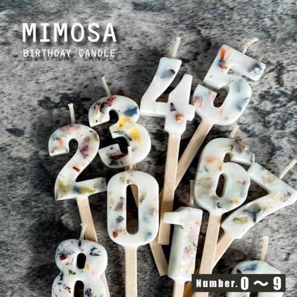 バースデー キャンドル / MIMOSA BIRTHDAY CANDLE 全10種 / ドライフラワー 数字 年齢 誕生日 記念日 特別な日 日本製 無香料 W20-30 x H110ｍｍ ボタニカル