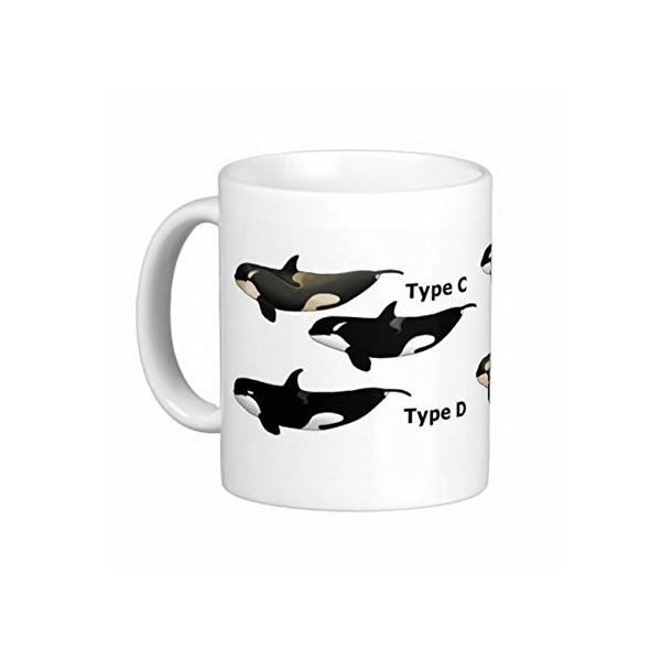 4タイプのシャチのイラストのマグカップ フォトマグ 本日限定 世界の野生動物シリーズ 白地