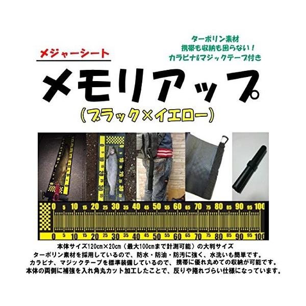 椿研究所 メモリアップ 定番スタイル