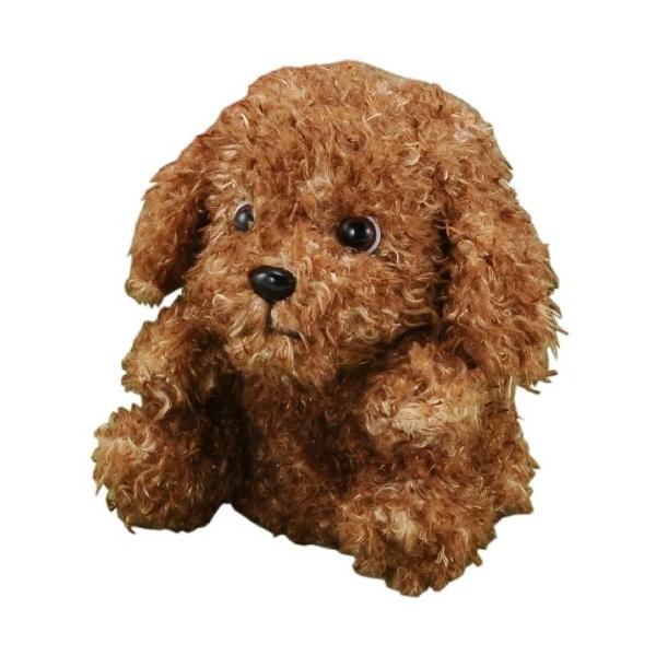 Mimicrypet ティーカッププードル アーモンドショコラ Pindo Com Py