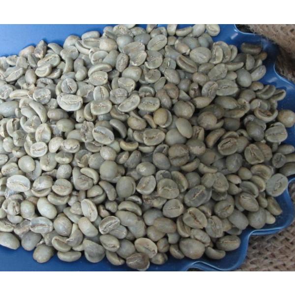 コーヒー生豆 ホンジュラス 10kg ハローコーヒー : ハロー