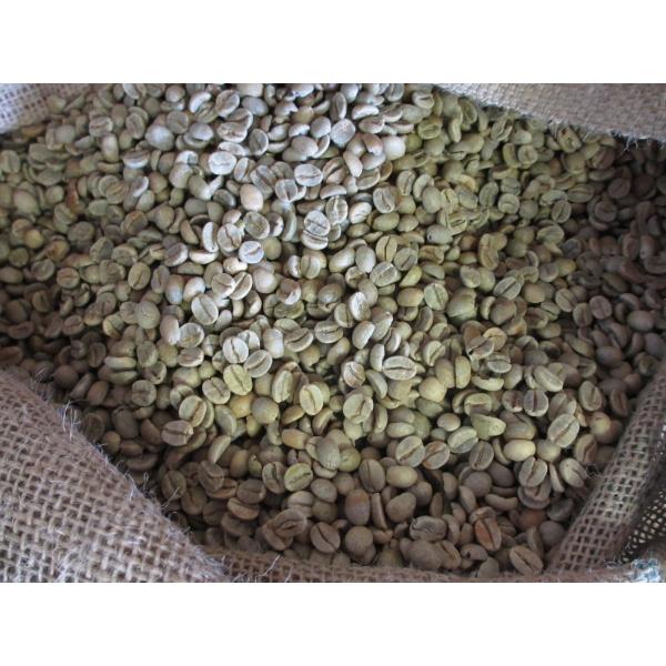 コーヒー生豆 選べるブラジルサントス 10kg詰め ハローコーヒー