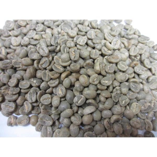 コーヒー生豆 ケニヤAA ドーマン社10kg ハローコーヒー : ハロー