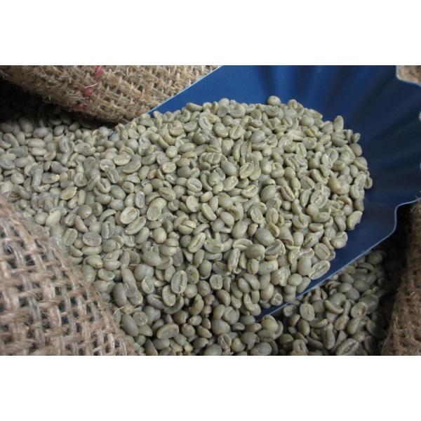 hellocoffee-proshop_213465