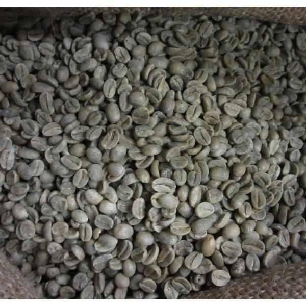 【コーヒー生豆】グアテマラ SHB 10kg ※送料無料！ 楽天市場】10月15限定☆エントリーしてポイント最大7倍！コーヒー 生豆