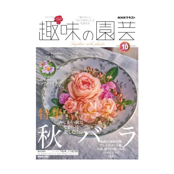 NHK趣味の園芸 2026年10月号