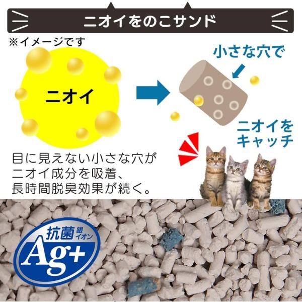 春早割 アイリスオーヤマ 初めて猫を飼う方にネコちゃんおむかえケージ付き6点セット Hello 猫 犬用品 初めて猫を飼う方にネコちゃんおむかえケージ付き6点セット ペットドア Dolly