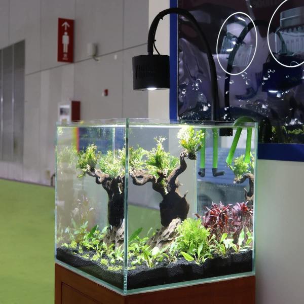 期間限定 最安値挑戦 のアクアリウム 水族館led 門灯 ガーデンライト Leite 水草育成 水族館led Lominie ライト 50w 水槽照明 60cm 淡水 Led 6500k 水槽照明 熱帯魚用 Hello Dolly