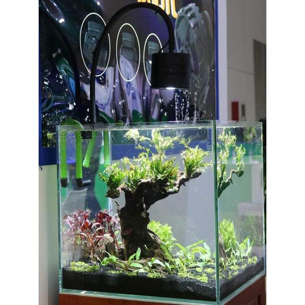 期間限定 最安値挑戦 のアクアリウム 水族館led 門灯 ガーデンライト Leite 水草育成 水族館led Lominie ライト 50w 水槽照明 60cm 淡水 Led 6500k 水槽照明 熱帯魚用 Hello Dolly