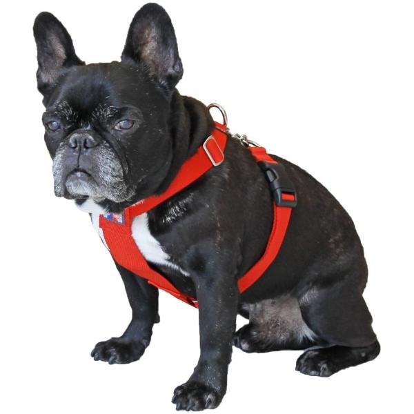 ブルドス Bulldoss チョークハーネス 2 5cm巾 レッド Tisshuang Tw Index Php