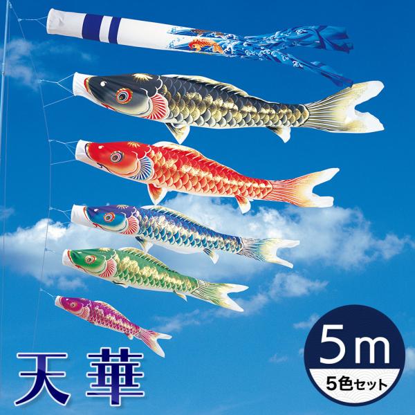 天華 鯉のぼり 5m 5色セット 天泳ぐ華やかな鯉のぼり☆天華錦鯉 5M 5色セット【こいのぼり