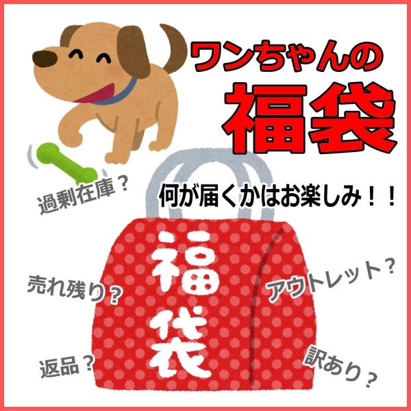 送料無料 ワンちゃんの福袋 アウトレット 犬の福袋 訳あり わけあり 在庫処分 Buyee Buyee 提供一站式最全面最專業現地yahoo Japan拍賣代bid代拍代購服務 Bot Online