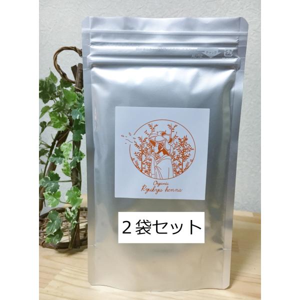 [きぽ]オーガニック琉球ヘナ2個セット オーガニック琉球ヘナ 100g2袋セット 国産ヘナ 沖縄県産 天然100