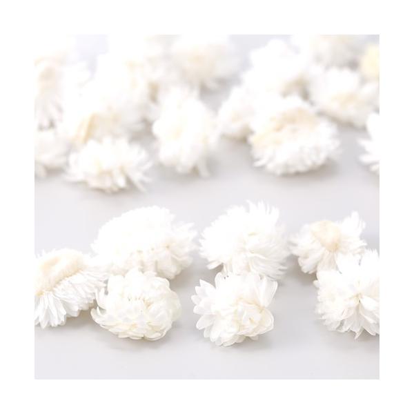 ヘリクリサム・ヘッド約2〜4cm -----------------------------------------------自然の素材となりますので色合いや形状、大きさなど若干異なることがございますのでご了承ください。