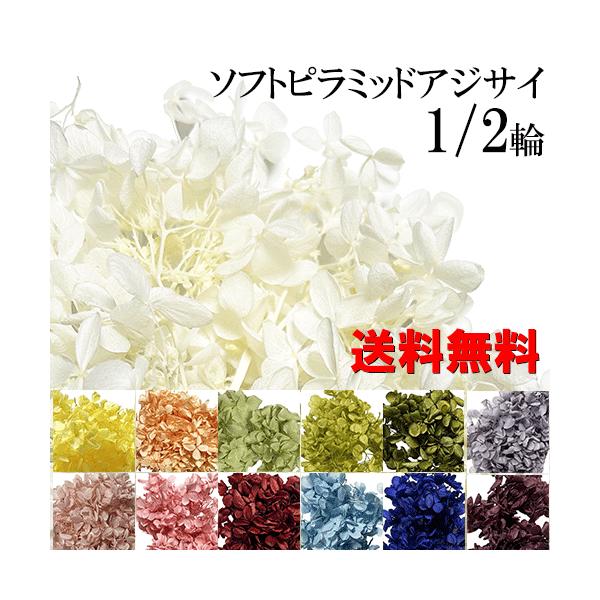 プリザーブドフラワー ピラミッドアジサイ あじさい 花材