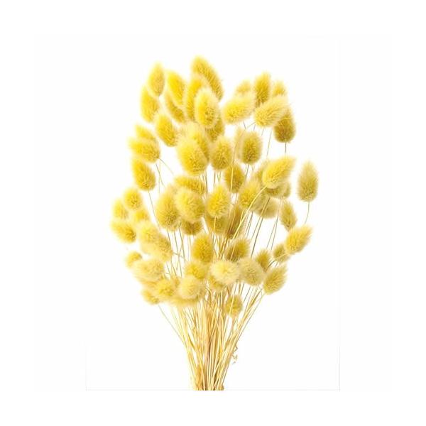 ハニーテール　マスタード    約25〜30cmL1束　約10g 約110本-----------------------------------------------自然の素材となりますので色合いや形状、大きさなど若干異なることがござい...