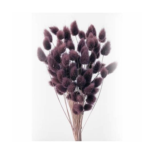 ハニーテール　ボルドー約25〜30cmL1束　約10g 約110本-----------------------------------------------自然の素材となりますので色合いや形状、大きさなど若干異なることがございますのでご...