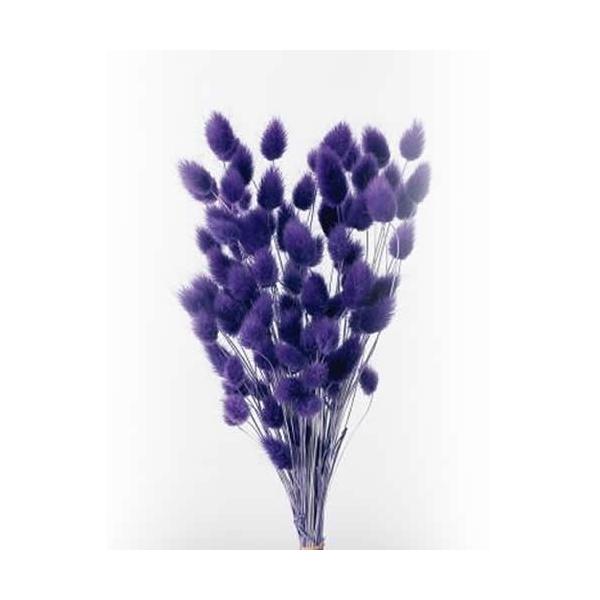 ハニーテール　グレープ     約25〜30cmL1束　約10g 約110本-----------------------------------------------自然の素材となりますので色合いや形状、大きさなど若干異なることがござい...