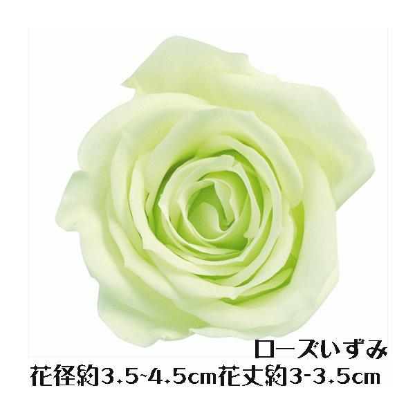 ローズ いずみ フレッシュグリーン 1輪 プリザーブドフラワー バラ 花材 大地農園 ドライフラワー スモールフラワー 花材 花 Atelier memi アトリエメミ