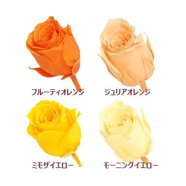 バラ　1輪花径：約2.3〜2.5ｃｍ花丈：約2.3〜2.5ｃｍ-----------------------------------------------自然の素材となりますので色合いや形状、大きさなど若干異なることがございますのでご了承...