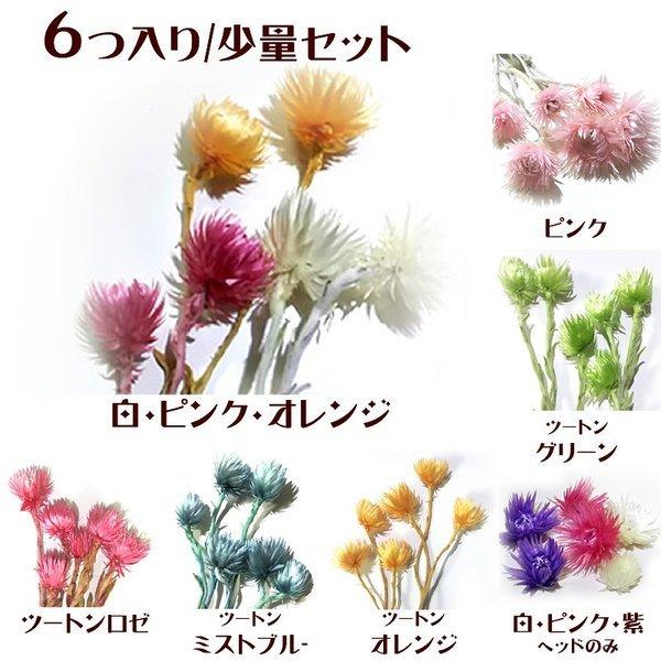 シルバーデージー　選べる7セットサイズにバラツキがございます。ご了承いただいた上でご購入をお願い致します。-----------------------------------------------プリザーブドフラワー&amp;ドライフラ...